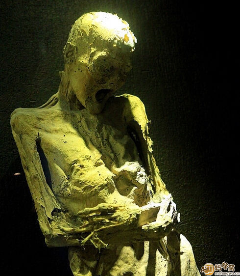 世界最恐怖的_图揭世界上最恐怖的人尸博物馆