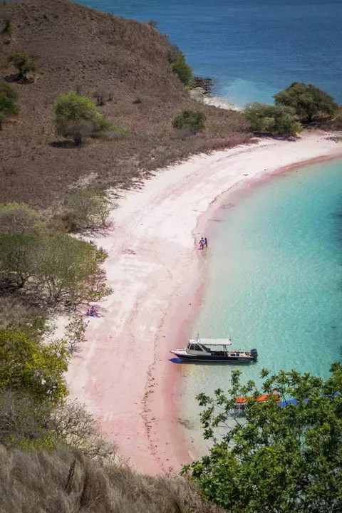 粉红沙滩又何止巴哈马,这个距离巴厘岛仅1小时