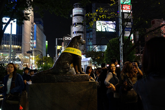 最令人失望的东京景点 忠犬八公排名第一