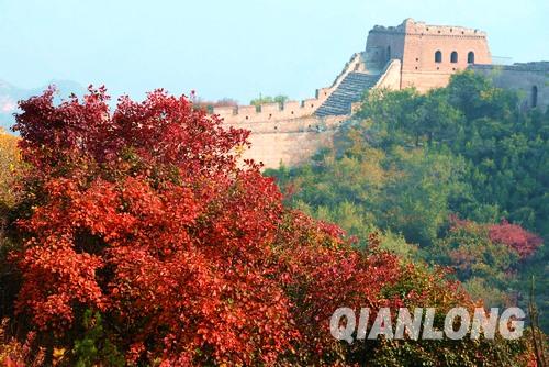 北京赏红叶的最佳时间 你知道么?