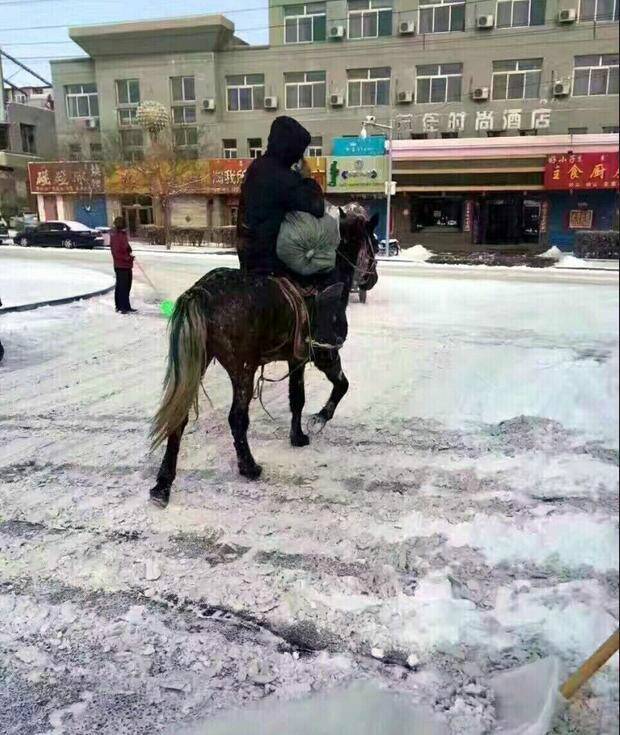 快递员骑马送包裹 这才是“蒙古民风”的正确打开方式！
